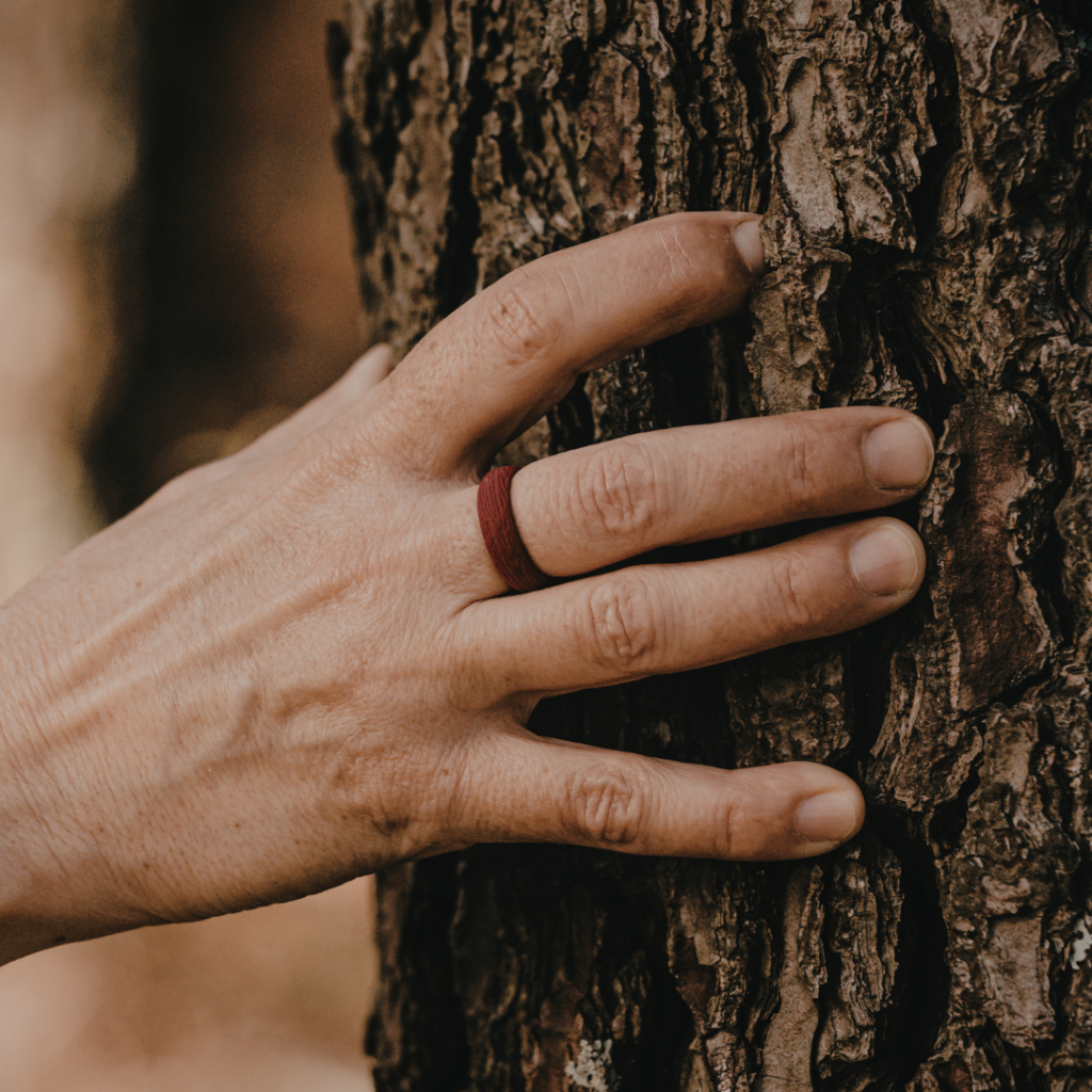 Arbre avec une main dessus Gregory Jousseaume
