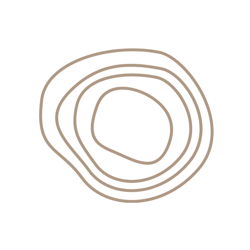 cercles fins beiges graphique Gregory Jousseaume