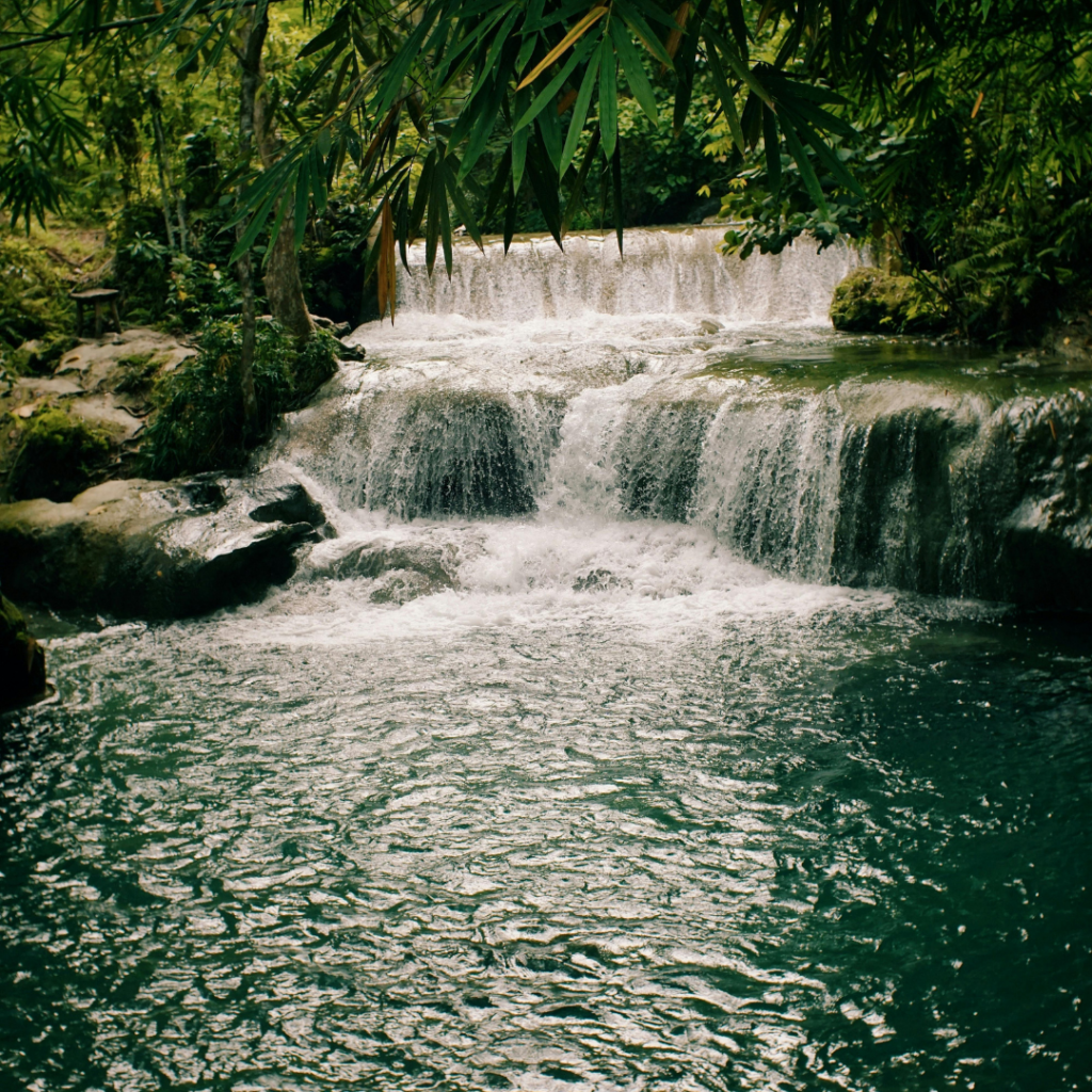Cascade Gregory Jousseaume